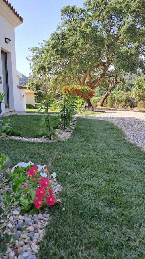 B&B La Chintina Sant'Antonio di Gallura Exterior photo