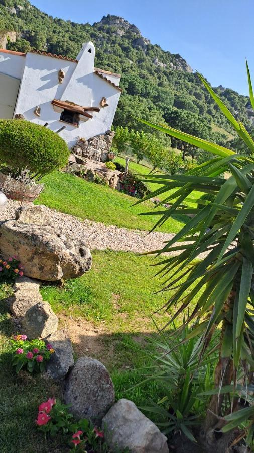 B&B La Chintina Sant'Antonio di Gallura Exterior photo